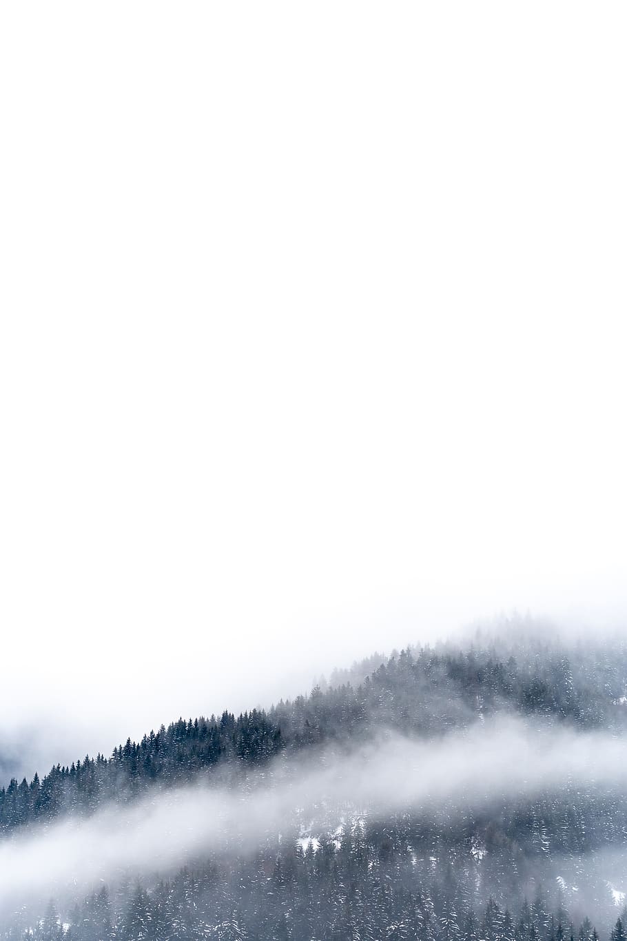 fons de pantalla de muntanya de boira, arbre, planta, abies, avet, a l'aire lliure, naturalesa, cortesvel, França, courchevel 1850, boira, neu, conífera, cel, hd, bell paisatge, punt de vista, cloudscape, Discoverlandscape, arbres, fons de pantalla, còpia espai, bellesa a la natura, escenics - natura, hivern, temperatura de fred, cap gent, medi ambient, tranquil·litat, escena tranquil·la, dia, escena no urbana, suavitat, nevar, poder a la natura, 5K