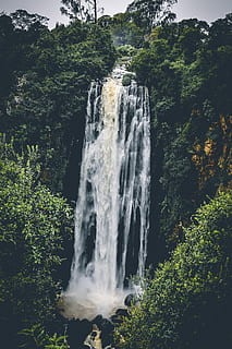 waterfall between trees, adventure, cascade, environment, flow, forest, landscape, long exposure, mountain, nature, rock, scenic, stream, summer, trees, wanderlust, water, waterfall, wild, wildlife, tree, plant, beauty in nature, scenics - nature, motion, flowing water, growth, land, blurred motion, day, power, no people, non-urban scene, power in nature, outdoors, flowing, rainforest, falling water, 5K, CC0, public domain, royalty free