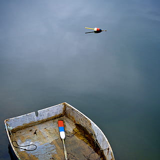 barca grigia, barca, dinghy, moto d'acqua, nave, mezzi di trasporto, stati Uniti, Rockport, barca a remi, panchina, volante, acqua, veicolo aereo, natura, nessuno, aereo, giorno, lago, modo di trasporto, nave nautica, mezz'aria, uccello, all'aperto, viaggio, cielo, movimento, 1080P, CC0, dominio pubblico, privo di copyright