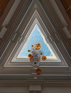 edificio bianco interno, fiore, architettura, finestra, pianta fiorita, Inquadratura dal basso, nessuno, in casa, struttura costruita, soffitto, pianta, vetro - materiale, giorno, costruzione, attrezzatura per l'illuminazione, decorazione, illuminato, modello, natura, sospeso, direttamente sotto, ornato, 4K, CC0, dominio pubblico, privo di copyright