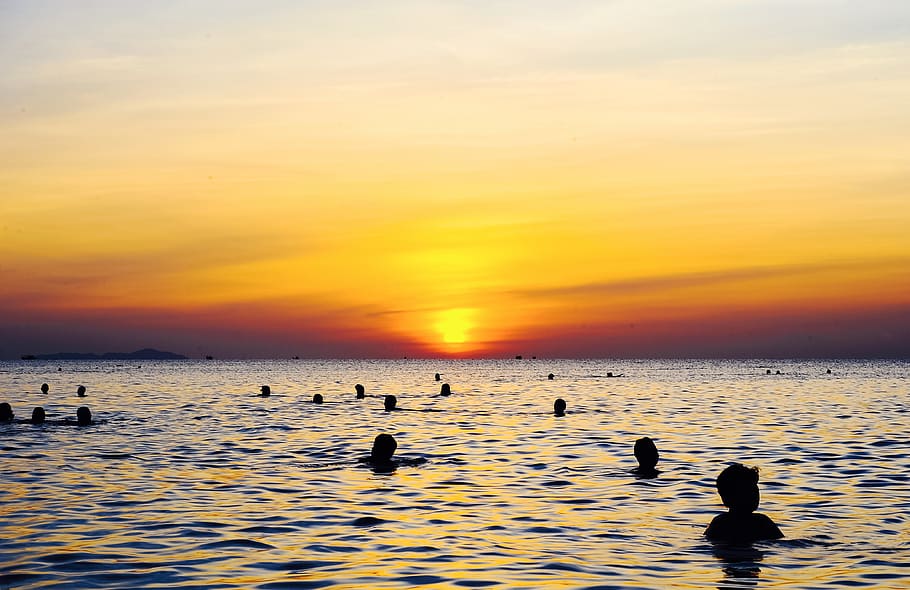 cênico, Visão, oceano, por do sol, de praia, nuvens, alvorecer, meio Ambiente, horizonte, lazer, natureza, pessoas, ondulações, cenário, mar, vista do mar, céu, verão, nascer do sol, agua, beleza na natureza, scenics - natureza, silhueta, pássaro, animais em estado selvagem, vertebrado, beira-mar, temas animais, animais selvagens, animal, grupo de animais, natação, cor laranja, horizonte sobre a água, ao ar livre, flutuando na água, 4K