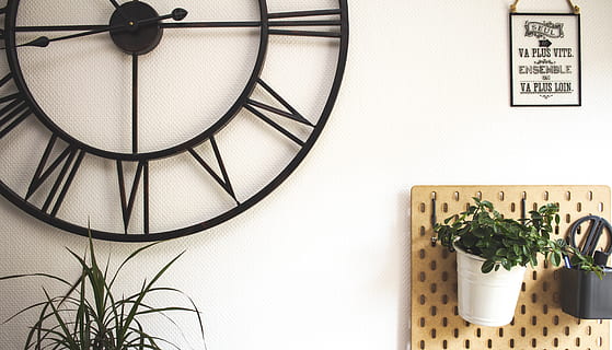 zegar analogowy, zegar, lampa, zegar ścienny, Tapeta, praca, gotować, ohmadeco, życie, kuchnia, deco, nastrój, światło, projekt, styl, kokon, roślina, garncarstwo, słoik, wazon, wewnątrz, żadnych ludzi, roślina doniczkowa, funkcja budowy ścian, czas, wzrost, liść, część rośliny, naczynie kuchenne, Natura, martwa natura, instrument czasu, wnętrze domu, ziele, tekst, zbliżenie, zbudowana struktura, zielony kolor, roślina domowa, doniczka, 5K, CC0, domena publiczna, darmowe zdjęcia