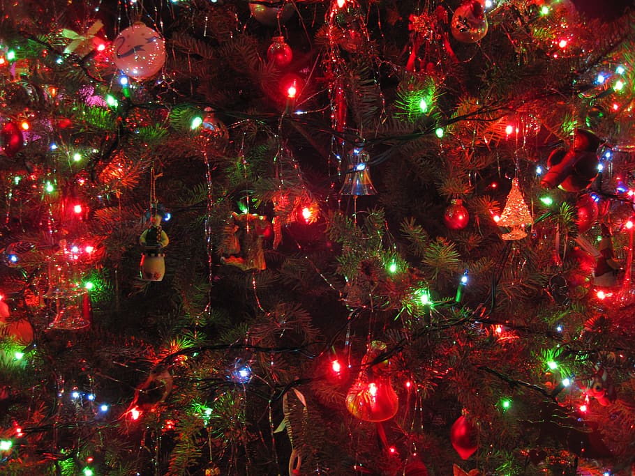 Canadà, uxbridge, celebració, Nadal, decoració, festa, decoració de Nadal, arbre de Nadal, il·luminat, llums de Nadal, arbre, adorn de Nadal, cap gent, nit, vacances - esdeveniment, marc complet, multicolor, fons, equips d’il·luminació, religió, 4K