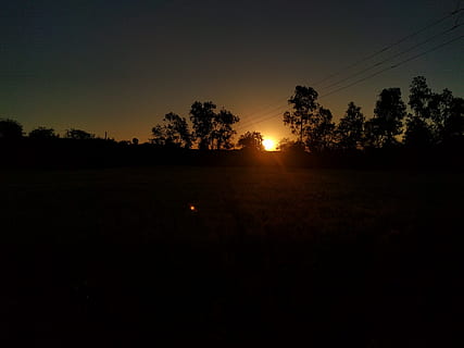 India, Nanded, alberi, cielo, albero, pianta, silhouette, tramonto, la tranquillità, scenics - natura, bellezza nella natura, scena tranquilla, cavo, elettricità, natura, nessuno, sole, paesaggio, ambiente, campo, linea elettrica, copia spazio, terra, all'aperto, Alimentazione elettrica, 4K, CC0, dominio pubblico, privo di copyright