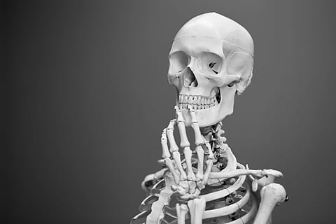 greyscale photography, skeleton, thinking, skull, black and white, bone, face, human Bone, human Skeleton, anatomy, human Skull, healthcare And Medicine, death, dead, dead Person, science, human Head, horror, physiology, people, human Spine, biology, illness, spooky, halloween, 5K, CC0, public domain, royalty free