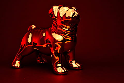 hund, krom, afspejling, refleksioner, tapet, rød, studio skud, farvet baggrund, repræsentation, indendørs, indenlandske, husdyr, ingen mennesker, pattedyr, Kunst og håndværk, dyreliv, hest, kunstkultur og underholdning, bevægelse, belyst, 5K, CC0, offentligt domæne, royaltyfrie