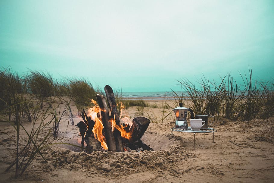 Feuer, Flamme, Lagerfeuer, Strand, Hitze, Brennholz, Gras, Sand, Geschirr, Picknick, Meer, Ozean, Wasser, Land, Verbrennung, Hitze - Temperatur, Natur, Himmel, Camping, Feuer - natürliches Phänomen, Umgebung, Log, draußen, Baum, Pflanze, 4K