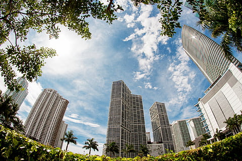 Städte, Miami, Gebäudehülle, gebaute Struktur, die Architektur, Stadt, Bürogebäude außen, Himmel, Gebäude, Baum, modern, Wolkenkratzer, Pflanze, große Höhe, Natur, Flachwinkelansicht, wolke - himmel, Turm, städtische Skyline, Reiseziele, Tag, Landschaft, Stadtbild, draußen, keine Leute, Finanzviertel, 4K, CC0, gemeinfrei, lizenzfrei