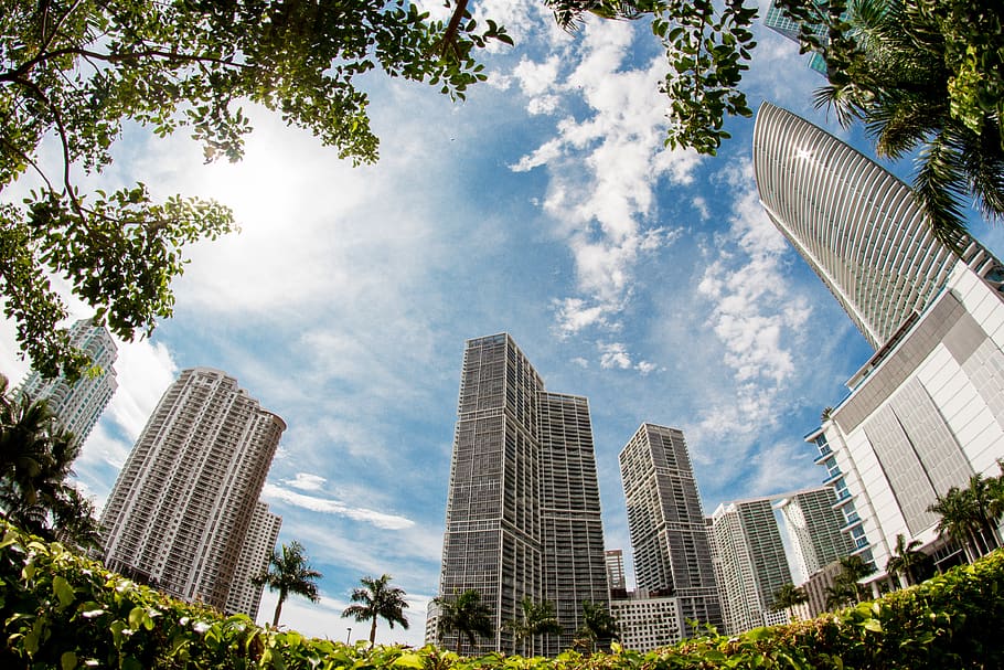 ciutats, miami, exterior de l'edifici, estructura construïda, arquitectura, ciutat, exterior d’edifici d’oficines, cel, edifici, arbre, modern, gratacels, planta, alta - alta, naturalesa, vista d’angle baix, núvol - cel, torre, horitzó urbà, destinacions de viatge, dia, paisatge, paisatge urbà, a l'aire lliure, cap gent, districte financer, 4K