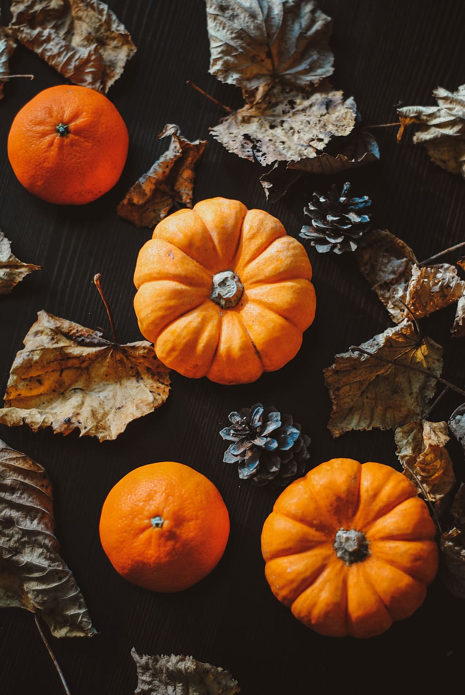 oranje, pompoenen, zwart, oppervlakte, eten en drinken, Oranje kleur, pompoen, voedsel, gezond eten, versheid, herfst, stilleven, groente, welzijn, hoge hoekmening, halloween, geen mensen, fruit, viering, deel van de plant, tafel, blad, natuur, detailopname, buitenshuis, jack o 'lantern, bladeren, 4K
