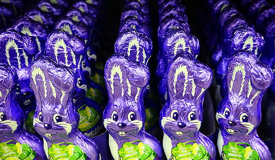 conill de Pasqua, xocolata, Pasqua, caramels, tracy, marc complet, cap gent, venda al detall, fons, a la venda, costat a costat, primer pla, mercat, en fila, ordre, blau, porpra, arranjament, representació, visualització al detall, gran grup d'objectes, natura morta, a l'interior, art i artesania, abundància, 5K, CC0, domini públic, lliure de regalies