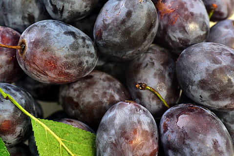 prugne, sfondo, frutta, drupacee, maturo, vitamine, salutare, delizioso, blu, il giro, bio, cibo, mangiare, gustoso, dolce, mangiare sano, benessere, cibo e bevande, freschezza, avvicinamento, natura morta, nessuno, fotogramma intero, grande gruppo di oggetti, frutti di bosco, giorno, concentrarsi sulle conoscenze acquisite, sfondi, mercato, biologico, abbondanza, vista dall'alto, 5K, CC0, dominio pubblico, privo di copyright