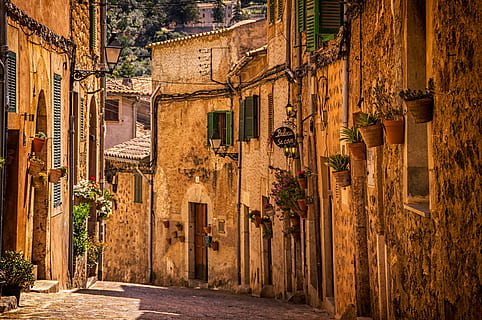 architecture, building, infrastructure, structure, establishment, windows, door, plant, vase, flowerpot, street, built structure, building exterior, city, residential district, no people, alley, day, nature, tree, outdoors, old, narrow, potted plant, lighting equipment, house, the way forward, 4K, CC0, public domain, royalty free