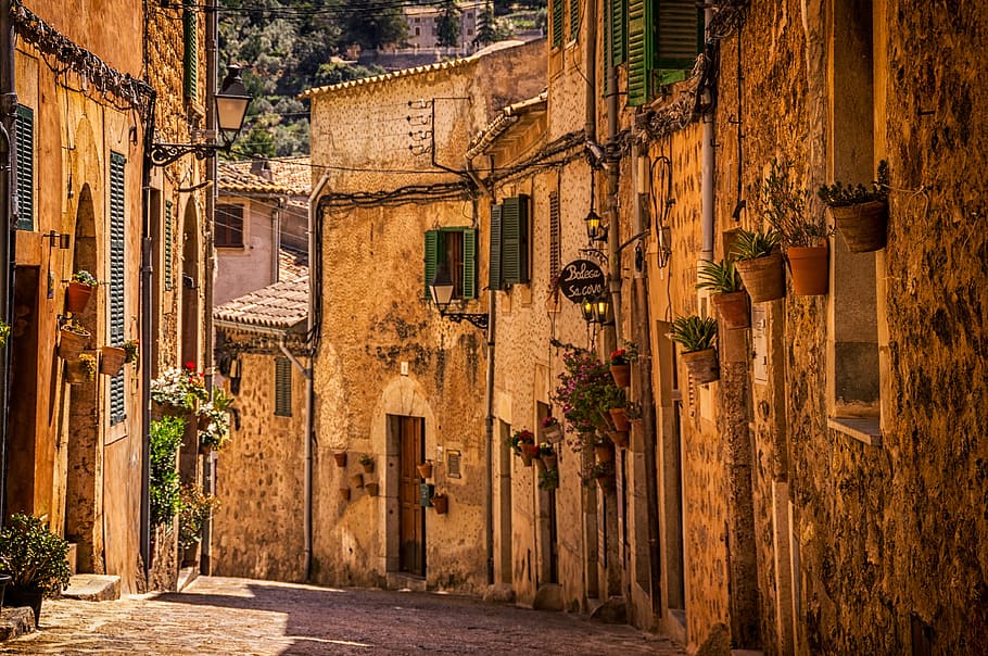 architettura, costruzione, infrastruttura, struttura, istituzione, finestre, porta, pianta, vaso, vaso di fiori, strada, struttura costruita, esterno dell'edificio, città, quartiere residenziale, nessuno, vicolo, giorno, natura, albero, all'aperto, vecchio, stretto, pianta in vaso, attrezzatura per l'illuminazione, Casa, la strada davanti, 4K