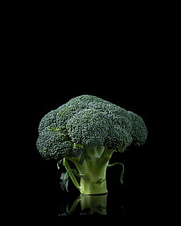 broccoli verdi, girato in studio, sfondo nero, verdura, freschezza, cibo e bevande, cibo, avvicinamento, mangiare sano, broccoli, colore verde, in casa, nessuno, benessere, verde, copia spazio, natura morta, cibo crudo, singolo oggetto, ritagliare, pianta, cibo vegetariano, 2K, CC0, dominio pubblico, privo di copyright