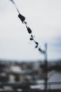 selettivo, fotografia a fuoco, filo, lampadina, luce, stringa, bokeh, sfocatura, bicchiere, α7 iii, sony, cielo blu, cielo, arte, foto, astratto, all'aperto, attrezzatura, nessuno, blu, copia spazio, giorno, uccello, 5K, CC0, dominio pubblico, privo di copyright
