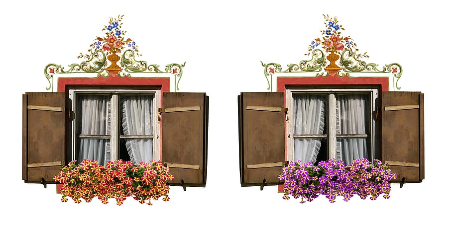 arquitectura, edifici, finestra, frontal, obturador, flors, decoracions florals, caixa de flors, petunia, finestra antiga, estiu, cortina, flor, planta amb flors, planta, exterior de l'edifici, cap gent, naturalesa, estructura construïda, dia, frescor, a l'aire lliure, creixement, decoració, vista d’angle baix, creença, planta en test, costat a costat, fragilitat, test de flor, 4K