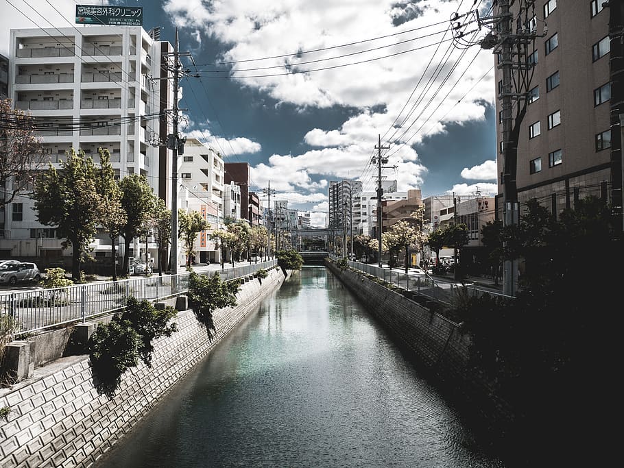lago tra gli edifici, acqua, all'aperto, canale, olandese, veicolo, auto, automobile, mezzi di trasporto, urbano, sentiero, costruzione, Quartiere, ponte, strada, passerella, natura, fiume, cittadina, città, scenario, architettura, struttura costruita, esterno dell'edificio, nuvola - cielo, cielo, albero, quartiere residenziale, nessuno, giorno, connessione, pianta, lungomare, edificio per uffici esterno, paesaggio urbano, grattacielo, 4K