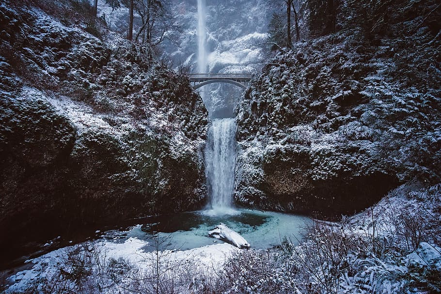 escènic, vista, cascada, pont, penya-segat, fred, boira, referència, paisatge, muntanya, multnomah cau, naturalesa, oregon, parc, barranc, reflexió, corrent, aigua, moviment, exposició llarga, escenics - natura, bellesa a la natura, aigua que flueix, arbre, cap gent, moviment borrós, esquitxades, bosc, dia, terra, poder a la natura, poder, planta, rock, que flueix, a l'aire lliure, caient aigua, aigua corrent, 1080P