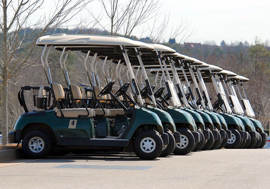 carros de golf blancs i blaus, cotxe, carro, curs, conduir, motor, joc, golf, curs de golf, golfista, verd, pasatemps, oci, a l'aire lliure, parc, aparcat, jugar, putt, recreació, esport, estiu, tràiler, transport, sistema de transport, vehicle, roda, manera de transport, vehicle terrestre, dia, camió, naturalesa, arbre, cap gent, carretera, estacionari, transport de mercaderies, semi-camió, en fila, vehicle comercial terrestre, automòbil, negocis, terra, pneumàtic, 2K