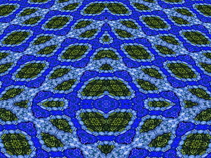 manipulasi foto, bunga-bunga, diberikan, simetri, perspektif mendalam, abstrak, Latar Belakang, pola, Desain, simetris, , bingkai penuh, tidak ada orang, merapatkan, bentuk, biru, hari, bentuk geometris, bertekstur, kreativitas, lumut, seni dan kerajinan, di luar rumah, menanam, pengulangan, lingkaran, lantai, detail, 1080P, CC0, domain publik, bebas royalti