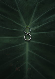 dois anéis de cor prateada, anel, folha, anel de noivado, fechar-se, Sombrio, mínimo, elegante, simples, verde, amor, casamento, cor verde, natureza, abstrato, origens, meio Ambiente, plantar, padronizar, frescura, conceitos, luz - fenômeno natural, ninguém, solta, ideias, biologia, brilhante, 5K, CC0, domínio público, royalty free
