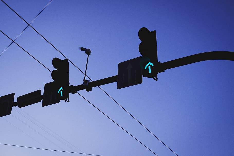 semàfor, llum, pal d’utilitat, endavant, anar, començar, cable, línies elèctriques, torre de transmissió elèctrica, parlament, ocell, Corb, animal, làser, cometa, joguina, merla, Agelaius, ramat, cel, vista d’angle baix, senyal de carretera, electricitat, blau, llum de stop, signe, llum verda, cel clar, naturalesa, línia elèctrica, tecnologia, orientació, connexió, cap gent, control, direcció, equips d’il·luminació, a l'aire lliure, Font d'alimentació, 5K