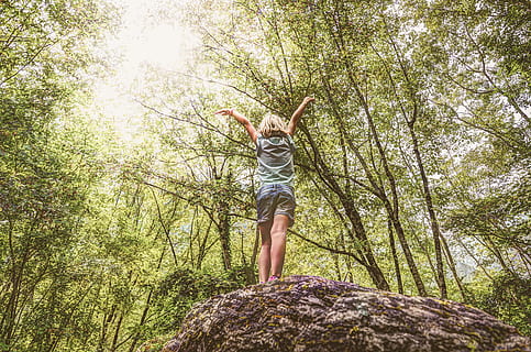 photo, girl, standing, rock, raising, hands, back, back view, beautiful, bright, child, enjoyment, environment, female, foliage, forest, dom, fun, kid, leaves, leisure, low angle photography, nature, outdoors, person, recreation, stone, summer, sunlight, trees, woods, young, tree, one person, plant, leisure activity, casual clothing, full length, human arm, day, real people, carefree, land, low angle view, arms raised, freedom, vitality, limb, positive emotion, human limb, 5K, CC0, public domain, royalty free