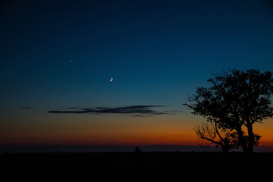 noite, árvore, céu, silhueta, scenics - natureza, beleza na natureza, cena tranquila, tranquilidade, lua, por do sol, plantar, crescente, natureza, idílico, cor laranja, azul, ninguém, cena não urbana, crepúsculo, meio Ambiente, astronomia, ao ar livre, 5K