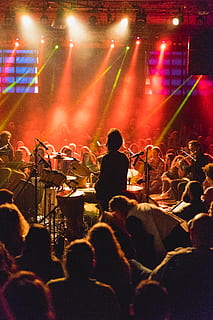 człowiek grający na perkusji, ludzie, muzyka, koncert, tłum, publiczność, osoba, człowiek, koncert rockowy, zajęcia rekreacyjne, etap, abraham hostel tel aviv, תל אביב יפו, Izrael, oświetlenie, bęben, bębny, koło bębna, muzyk, musical, perkusista, kultura i rozrywka artystyczna, wydajność, przyjemność, Grupa ludzi, przestrzeń sceniczna, zdarzenie, życie nocne, duża grupa ludzi, mężczyźni, sprzęt oświetleniowy, oświetlony, prawdziwi ludzie, artysta, światło, swiatlo sceny, koncert muzyki popularnej, Festiwal Muzyczny, muzyka rockowa, festiwal, pozytywne emocje, podniecenie, widz, umiejętność, zajęcia rozrywkowe, 5K, CC0, domena publiczna, darmowe zdjęcia