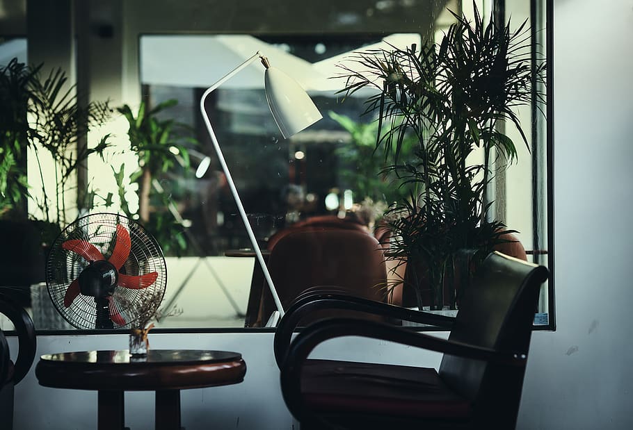 primavera, soleggiato, tavolo, venire, fan, caffè, finestra, in casa, pianta in vaso, pianta, vetro - materiale, trasparente, mobilia, interno di casa, persone reali, giorno, sedia, vaso, posto a sedere, natura, albero, una persona, attività commerciale, stanza domestica, pianta della casa, 2K