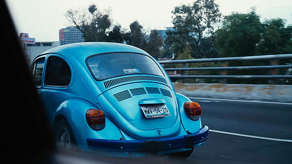 vabalas, vw, klaida, langas, automobilis, vairuoja, užmiestyje, taip, kelias, volkswagen, derliaus, Meksika, Meksikas, susiliejimas, transporto būdas, motorinė transporto priemonė, transportavimas, sausumos transporto priemonė, medis, dieną, augalų, miestas, gatvė, architektūra, nėra žmonių, judėjimas, pastatyta struktūra, lauke, kelionė, pastato išorė, kelyje, 5K, CC0, Viešasis domenas, nemokamai