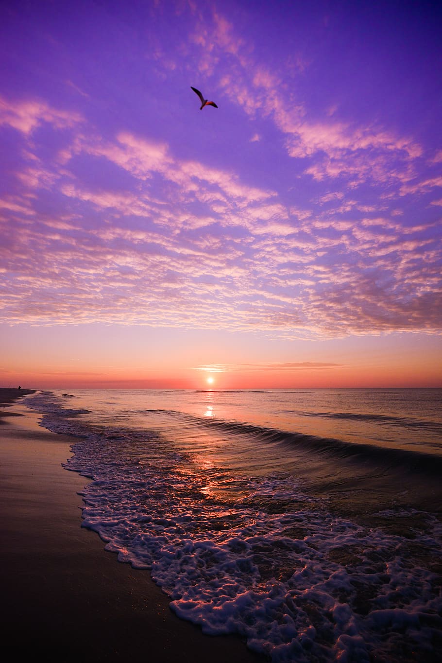 posta de sol, vespre, tarda, alba, aigua, mar, sol, oceà, platja, cel, naturalesa, vora del mar, a l'aire lliure, paisatge, estiu, llum, paisatge marí, bon temps, viatjar, bellesa a la natura, escenics - natura, volant, ocell, temes d'animals, horitzó sobre l’aigua, animal, núvol - cel, horitzó, escena tranquil·la, vertebrats, terra, tranquil·litat, cap gent, 5K