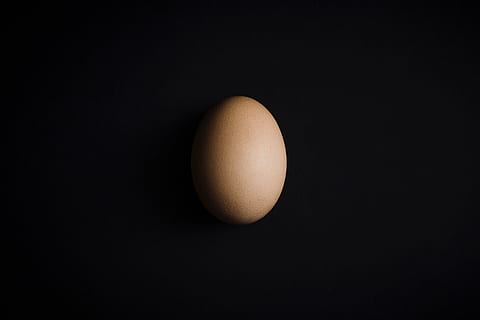 brut, Oeuf, coquille, Pâques, aliments, alimentation saine, Nourriture et boisson, fond noir, prise de vue en studio, bien-être, personne, fraîcheur, oeuf animal, à l'intérieur, nourriture crue, fragilité, espace de copie, vulnérabilité, fermer, objet unique, marron, la nature, biologique, petit déjeuner, 4K, CC0, domaine public, libre de droits