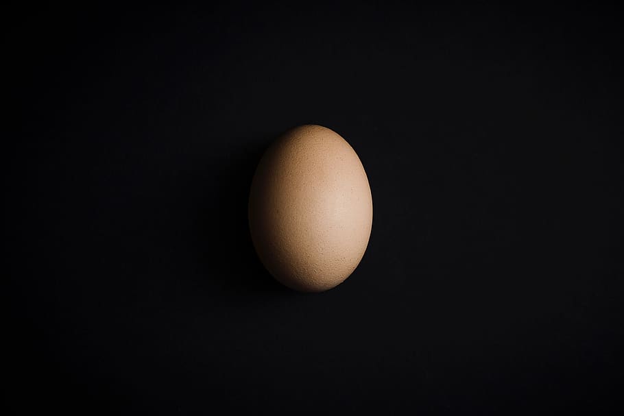 crua, ou, shell, Pasqua, menjar, alimentació saludable, menjar i beguda, fons negre, tir de l'estudi, benestar, cap gent, frescor, ous d’animals, a l'interior, aliments crus, fragilitat, còpia espai, vulnerabilitat, primer pla, sol objecte, marró, naturalesa, orgànic, esmorzar, 4K