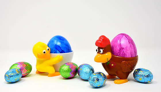 easter egg, chicks, chicken, egg cups, funny, colorful, spring, easter, color, painting, easter theme, easter greeting, easter greetings, greeting card, easter decoration, cute, colored, happy easter, figure, colored eggs, dyed easter eggs, colorful eggs, easter eggs, boiled eggs, dyed eggs, studio shot, toy, white background, childhood, cut out, multi colored, indoors, group of objects, holiday, yellow, education, blue, variation, pink color, celebration, purple, small, 5K, CC0, public domain, royalty free