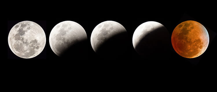 blood moon eclipse, moon, eclipse, night, sky, space, full, lunar, astronomy, dark, black, crater, planet, full moon, satellite, bright, sphere, science, solar, celestial, half, light, universe, orbit, luna, space wallpaper, black background, panoramic, nature, no people, copy space, natural phenomenon, close-up, moon surface, outdoors, shape, circle, variation, in a row, moonlight, 5K, CC0, public domain, royalty free