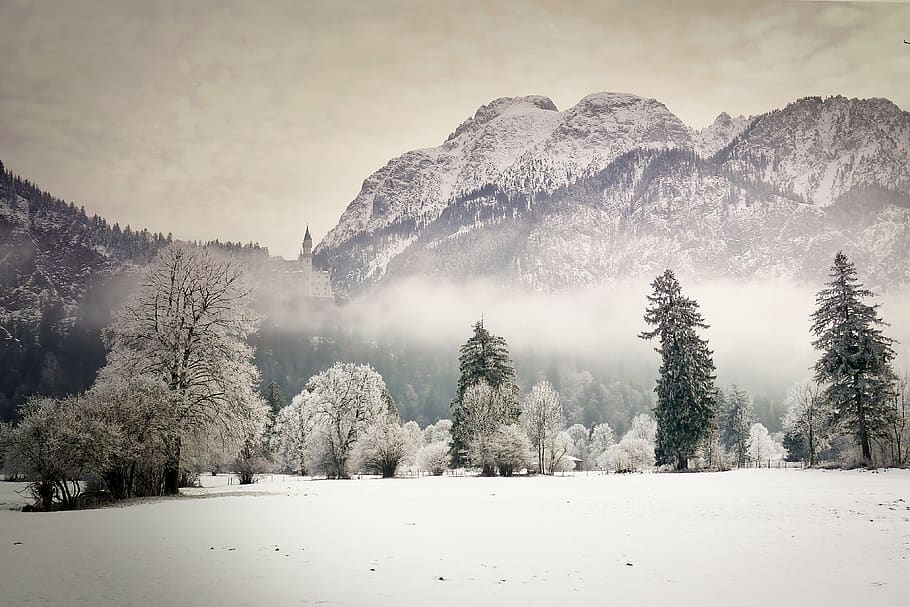 neu, hivern, muntanya, arbre, fred, castell, kristin, boira, paisatge, congelat, temperatura de fred, planta, bellesa a la natura, tranquil·litat, escenics - natura, escena tranquil·la, cobertura, cel, naturalesa, Color blanc, cap gent, terra, escena no urbana, medi ambient, dia, a l'aire lliure, muntanya nevada, arbre de coníferes, nevar, 4K