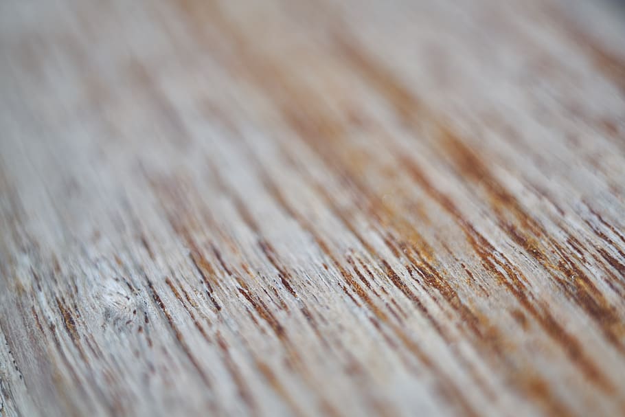 fusta, textura, patró, superfície, vell, arbre, parquet, model, aspre, paret, sòl, material, resum, fusteria, roure, natural, decoració, disseny, decoratiu, retro, color, material de fusta, marc complet, fons, enfocament selectiu, primer pla, cap gent, marró, gra de fusta, a l'aire lliure, dia, naturalesa, primer pla extrem, patró natural, tauler, sol objecte, efecte texturat, nivell superficial, netejar, 8K