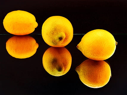 Zitrone, Zitronen, drei, Spiegel, Nahansicht, organisch, Kreis, Gourmet, erfrischend, Zitrusfrüchte, sauer, runden, gesund, Acid, Vitamin, Farbe, Erfrischung, Saft, Zutat, Obst, frisch, saftig, Frische, Stillleben, schwarz, gesundes Essen, Lebensmittel, Essen und Trinken, Studioaufnahme, schwarzer Hintergrund, Wohlbefinden, Zitrusfrucht, drinnen, orange Farbe, keine Leute, Gruppe von Objekten, Gelb, farbiger Hintergrund, Aprikose, mittlere Gruppe von Objekten, Orange, reif, 1080P, CC0, gemeinfrei, lizenzfrei