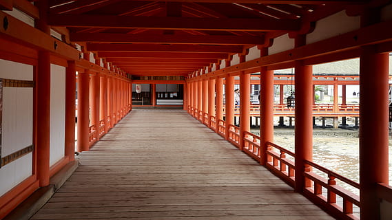 tom veranda, bygning, arkitektur, korridor, tempel, tilbede, helligdom, person, human, søjle, kolonne, Port, torii, etage, indendørs, sti, gangbro, gulve, midtergang, pagode, veranda, vejen frem, retning, bygget struktur, træ - materiale, sted for tilbedelse, arkitektoniske kolonne, arkade, ingen mennesker, tro, religion, tom, faldende perspektiv, spiritualitet, loft, i en række, fravær, søjlegang, 5K, CC0, offentligt domæne, royaltyfrie
