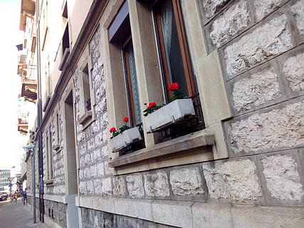 carrer, Ginebra, estiu, primavera, flors, fleur, exterior de l'edifici, arquitectura, estructura construïda, vista d’angle baix, edifici, finestra, dia, cap gent, a l'aire lliure, barri residencial, naturalesa, funció de construcció de parets, flor, penjant, ciutat, planta, escultura, planta amb flors, vermell, decoració, 2K, CC0, domini públic, lliure de regalies
