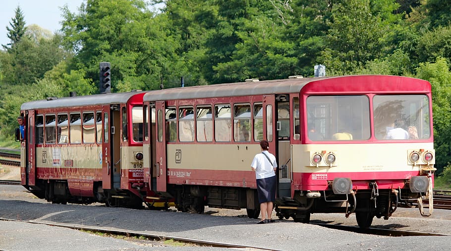 tren, vagó, motor, parada, estació, pista, el conductor, ferrocarril, transport, viatjar, manera de transport, transport públic, transport per ferrocarril, vehicle terrestre, dia, arbre, tren - vehicle, persones reals, naturalesa, homes, planta, gent, vies del ferrocarril, llum solar, vermell, grup de persones, a l'aire lliure, 4K