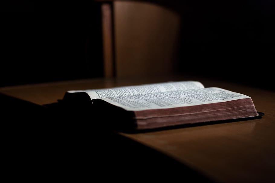 llibre, bíblia, lectura, taula, fosc, habitació, a l'interior, religió, primer pla, cap gent, enfocament selectiu, material de fusta, emoció, natura morta, publicació, espiritualitat, creença, absència, sol objecte, tristesa, obert, 4K