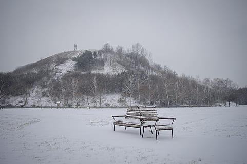 lavice, sníh, zimní, sama, Studený, mráz, osamělý, zamrzlý, venkovní, dřevo, banka, park, relaxovat, odpočinek, sedadlo, romantický, nebe, stromy, studená teplota, klid, Příroda, strom, krása v přírodě, klidné scény, prázdný, scenics - příroda, nikdo, den, mlha, pole, absence, přistát, venku, Lavička v parku, 4K, CC0, veřejná doména, bez autorských práv