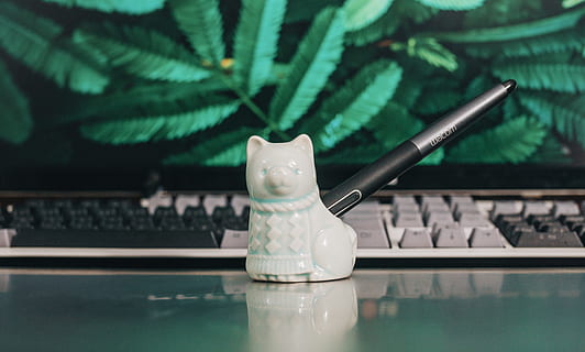 blanco, perro, cerámico, titular de la pluma, teclado, bolígrafo, nadie, mesa, color verde, computadora, adentro, de cerca, naturaleza muerta, centrarse en primer plano, enfoque selectivo, comunicación, planta, naturaleza, ordenador portátil, conexión, crecimiento, tecnología, material de vidrio, día, transparente, 5K, CC0, dominio público, libre de derechos