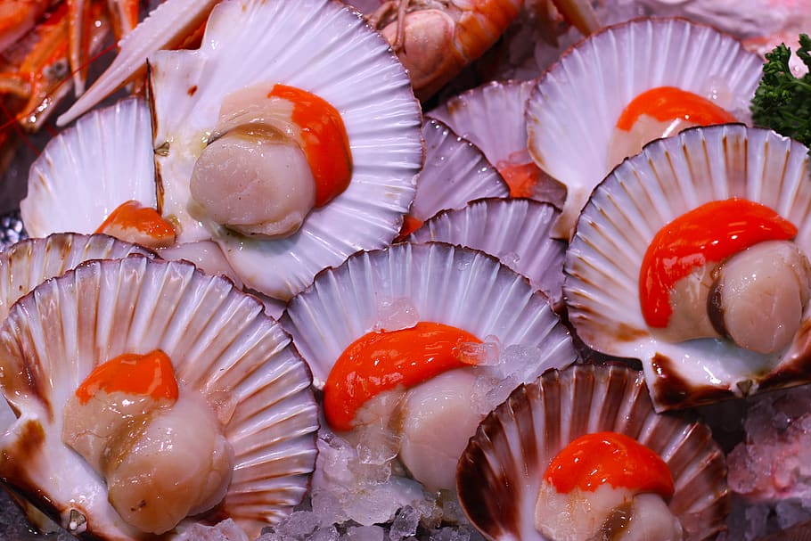 vieires, marisc, menjar, fresc, peix, saludable, dieta, deliciós, berenar, orgànic, salut, nutrició, sucós, saborós, bivalve, crua, frescor, menjar i beguda, alimentació saludable, primer pla, benestar, cap gent, a l'interior, aliments crus, animal, natura morta, marc complet, vermell, vista d’angle alt, vieira, elecció, vertebrats, fons, menjar japonès, 5K