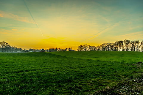 posta de sol, paisatge, naturalesa, núvols, humor, cel de la nit, vespre, sol, prat, cel, planta, escenics - natura, herba, color verd, bellesa a la natura, escena tranquil·la, arbre, medi ambient, tranquil·litat, terra, camp, núvol - cel, creixement, escena no urbana, idíl·lic, cap gent, a l'aire lliure, 5K, CC0, domini públic, lliure de regalies