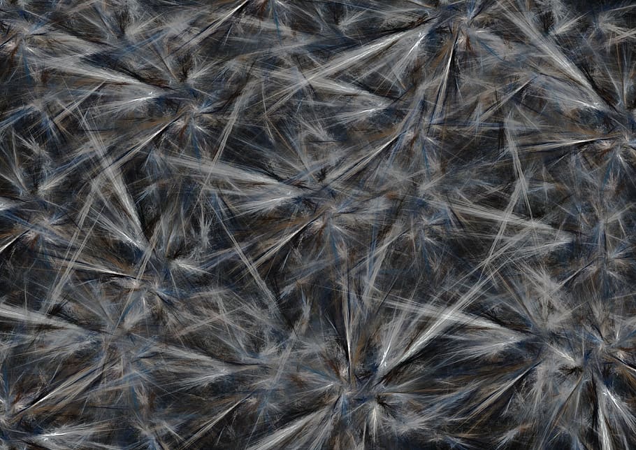 fons, resum, fractals, textura, escriptori, plantilla, patró, figura, decoratiu, element, marc complet, cap gent, primer pla, naturalesa, vulnerabilitat, fragilitat, flor, planta amb flors, planta, frescor, bellesa a la natura, a l'aire lliure, creixement, tir de l'estudi, suavitat, 4K