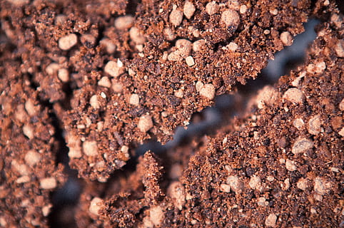 closeup, close-up, selective focus, no people, full frame, backgrounds, day, brown, nature, textured, pattern, outdoors, beauty in nature, freshness, dry, rusty, growth, field, abundance, fragility, still life, 4K, CC0, public domain, royalty free